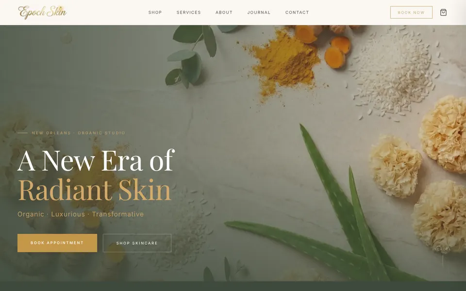 Epoch Skin homepage